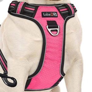 tobeDRI No Pull Dog Harness Adjustable Reflective Oxford Easy Control Medium Lar